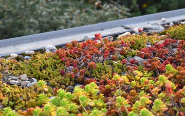 the cost of Broad Heath green roof installation