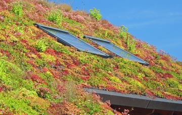 Broad Heath living roof systems