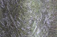 Broad Heath fibreglass roof work